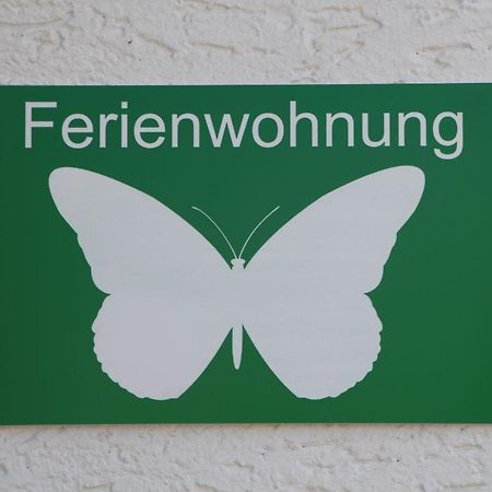 Ferienwohnung Schmetterling Trendelburg Buitenkant foto